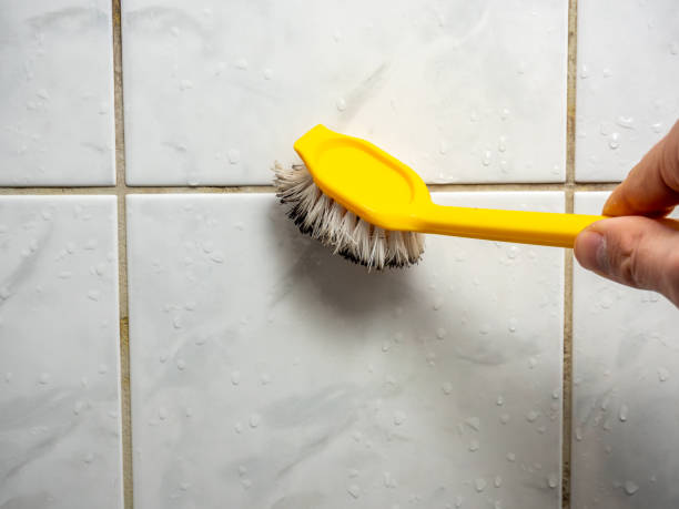 Best Emergency Mold Removal  in Sayville, NY